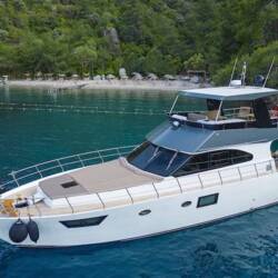 Golden blue Golden Blue