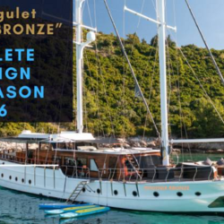 Phoenix Bronze Phoenix Bronze