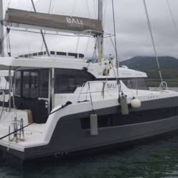 Bali Catspace Tursiops