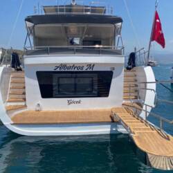 Albatros M Albatros M