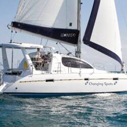 Leopard 40 Panda Joy