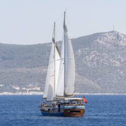 Gözdem The One Gözdem The One 