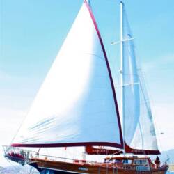 Il Fratello Il Fratello