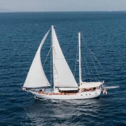 Beyaz Lale Beyaz Lale