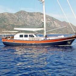 Carpediem coral Carpe Diem Coral