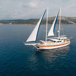 Sea Breeze Sea Breeze