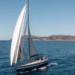 Cigale 16 Sargantal Zulu