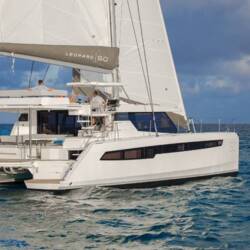 Leopard 50 Never Give Up