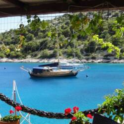 Larus - 3 + 1 cab. Larus