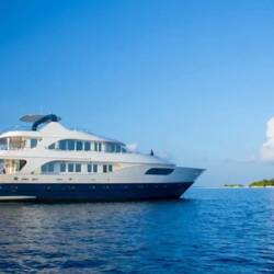 MY Honors Legacy Honors Legacy